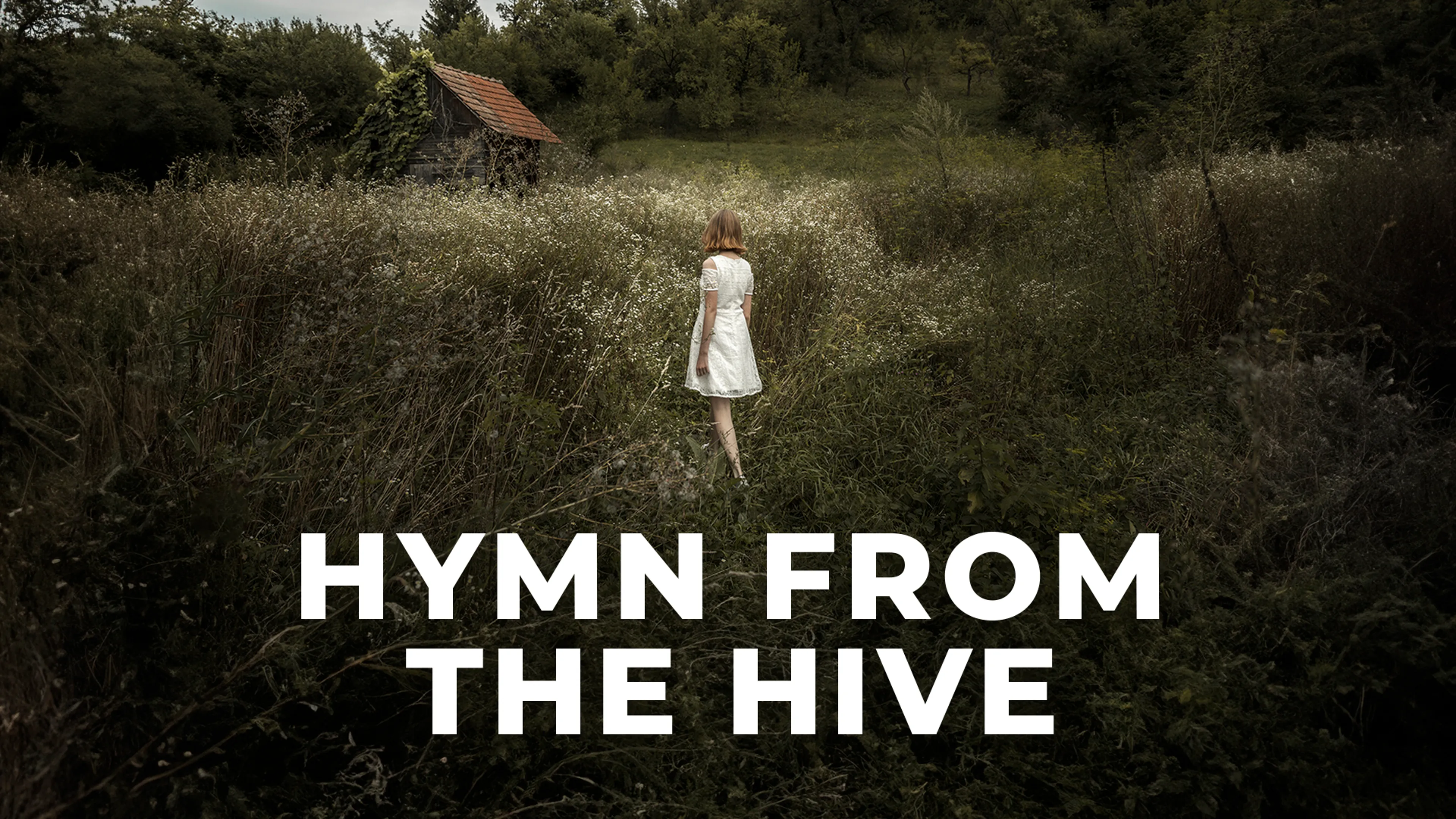 Hymn from the Hive poster